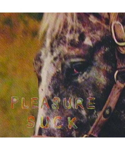 SPIRIT OF THE BEEHIVE PLEASURE SUCK CD $4.65 CD