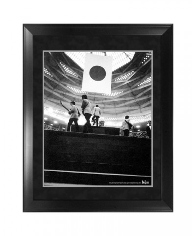 The Beatles Through the Years: 1966 A Fan's Perspective Framed Photo $44.20 Decor