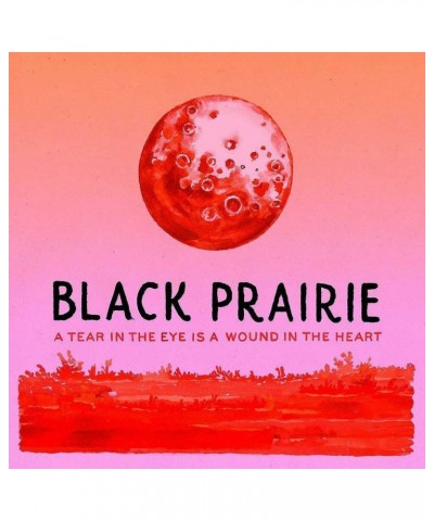 The Decemberists Black Prairie 'A Tear In The Eye Is A Wound...' 2x Vinyl LP $12.50 Vinyl