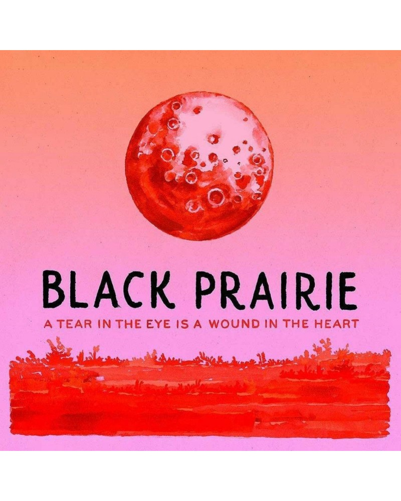 The Decemberists Black Prairie 'A Tear In The Eye Is A Wound...' 2x Vinyl LP $12.50 Vinyl